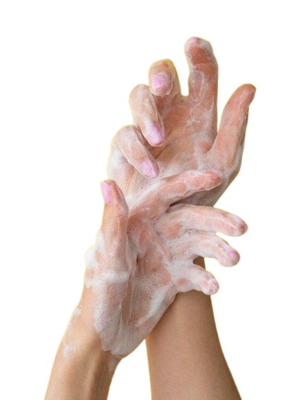 210a2ca7941b3d42f85c802bff7e1fcc removebg preview